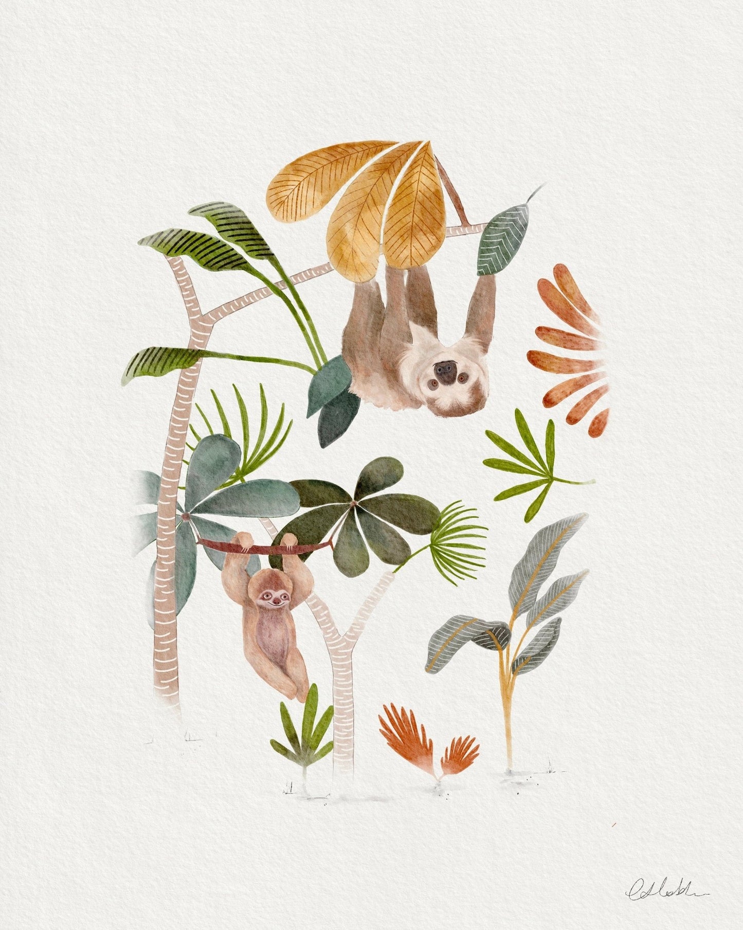 Jungle Nursery Art Prints - Set of 5 for Kids Room - Urchin Bay