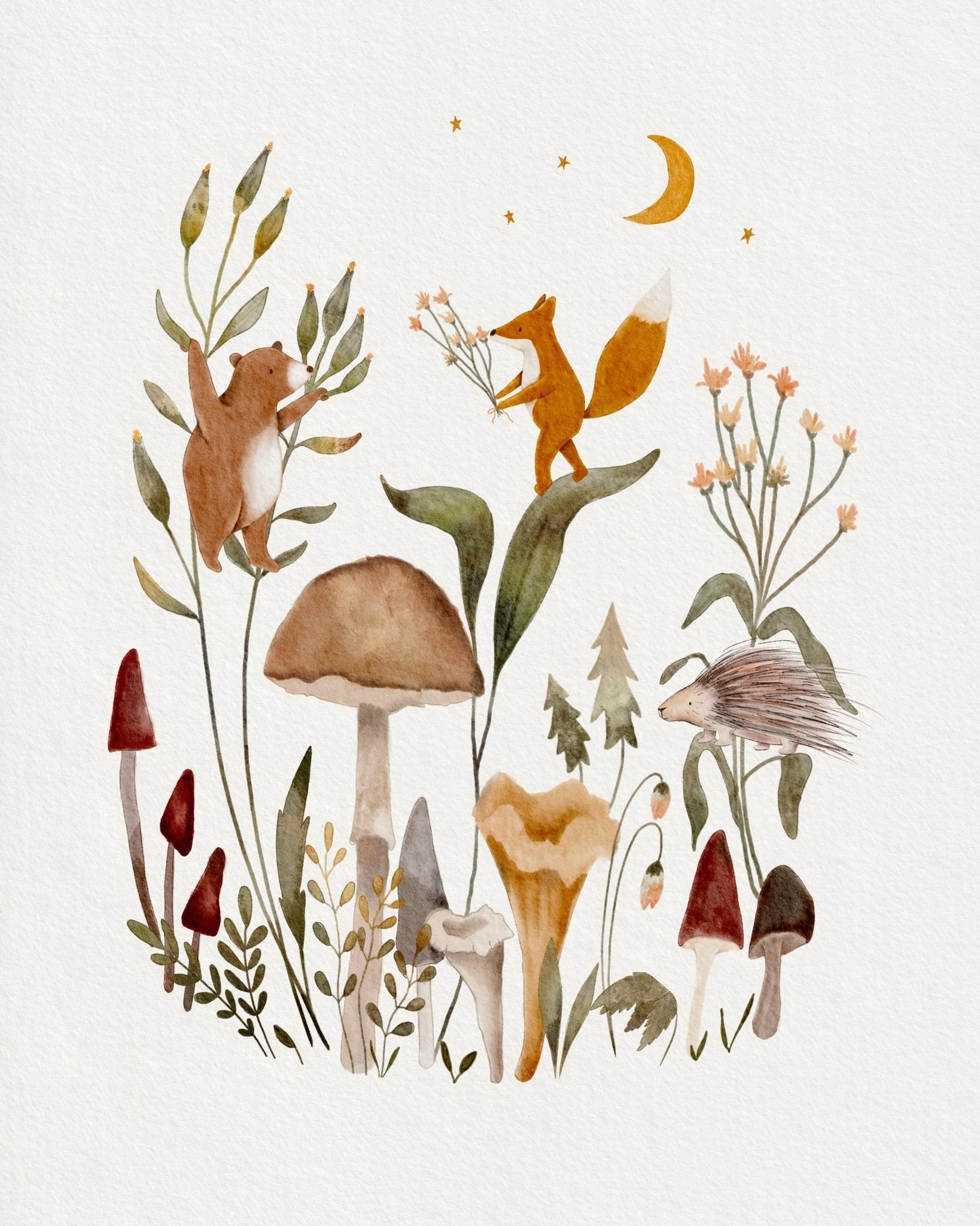 Nature - Themed Art Prints Set for Childrens Rooms - Prints - Urchin Bay