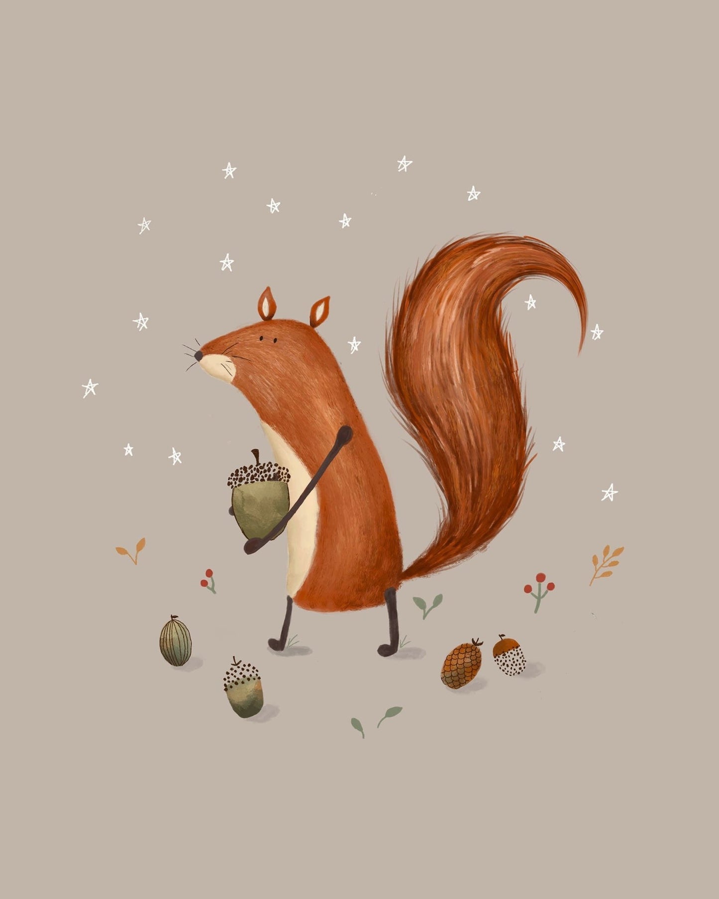 Squirrel Illustration Art Print - Prints - Urchin Bay