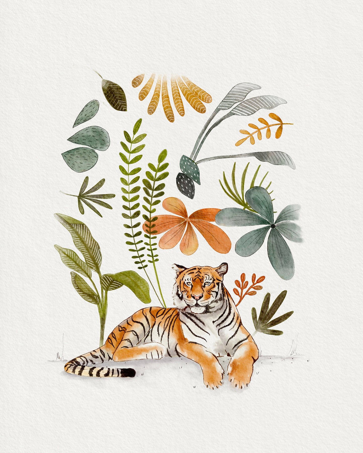 Jungle Nursery Art Prints - Set of 5 for Kids Room